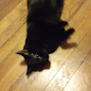 Meet your Posher, Norah